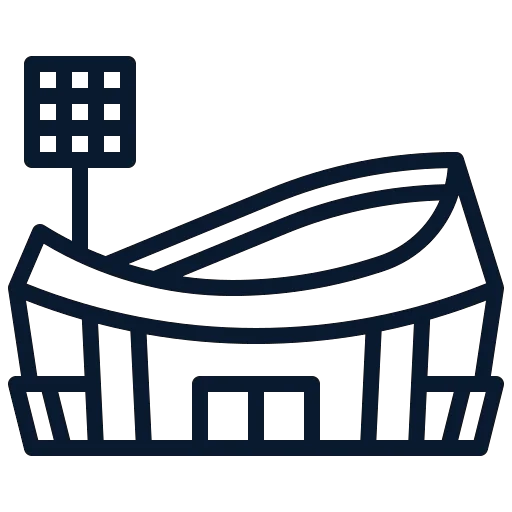 stadium icon